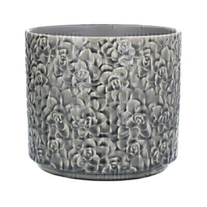 Large Grey Succulents Ceramic Pot Cover By Gisela Graham